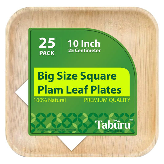 Disposable Square 10 Inch Palm Leaf Plates  25-Pack