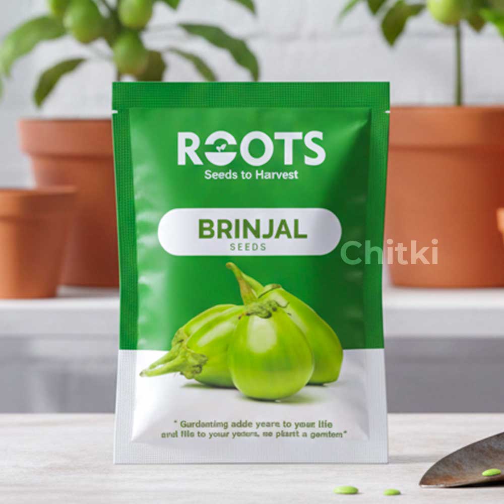 Brinjal Green Seeds (Green Eggplant)