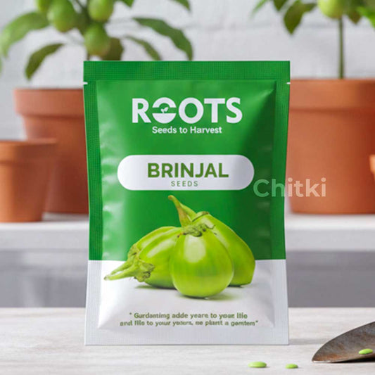 Brinjal Green Seeds (Green Eggplant)