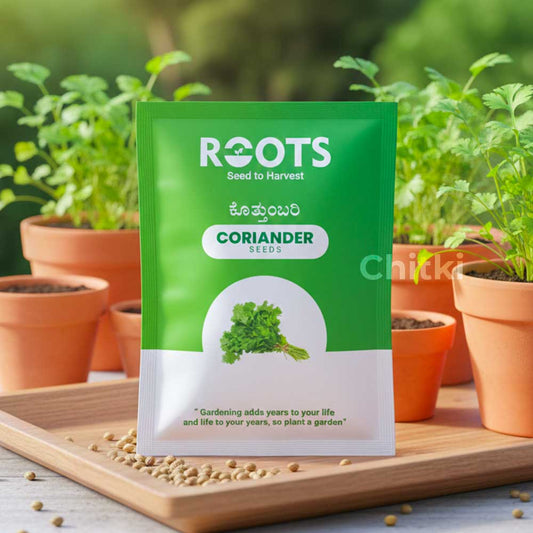 Locally Grown Coriander Leaf Seeds (Kothambari Soppu)